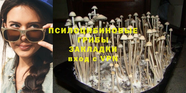 мескалин Балахна